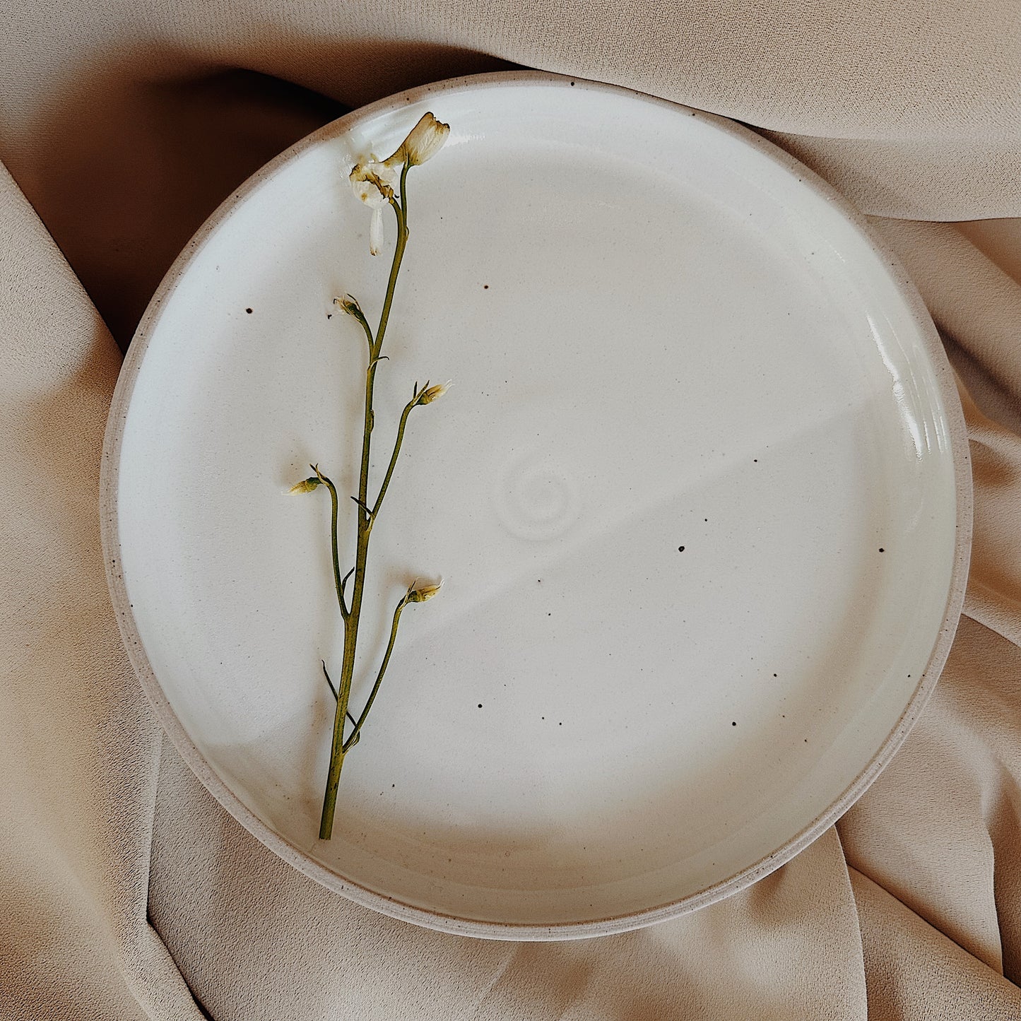 Dinner Plate in Layered White